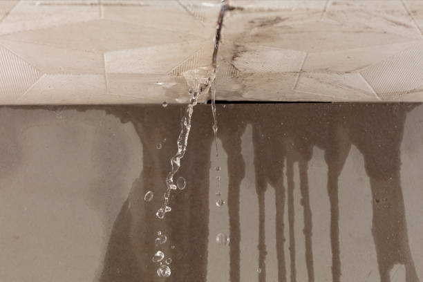 Professional Structural Drying technician working in Salvo, NC